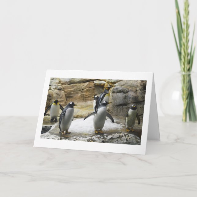 Tarjeta Festiva Pingüinos (Anverso)