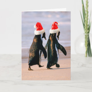 Tarjeta Festiva Pingüinos con gorros de Santa en la playa