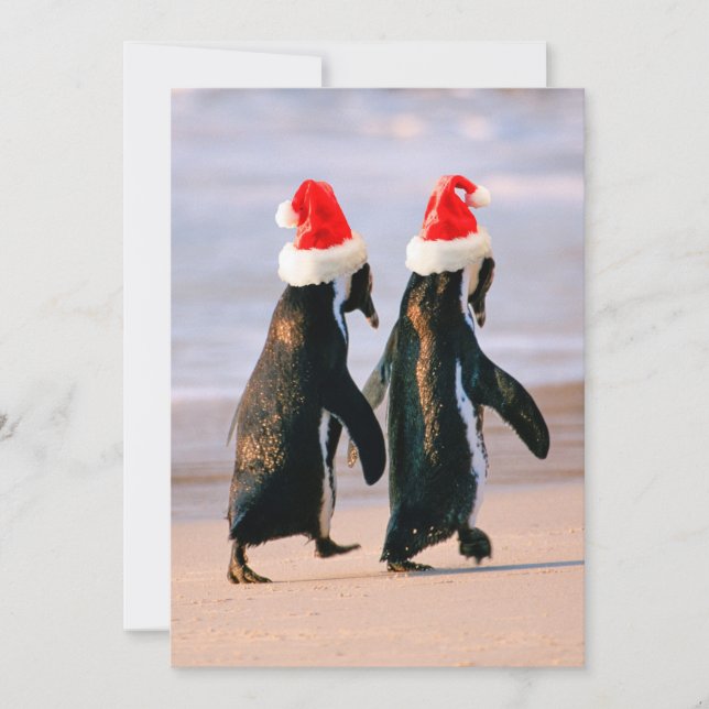 Tarjeta Festiva Pingüinos con gorros de Santa en la playa (Anverso)