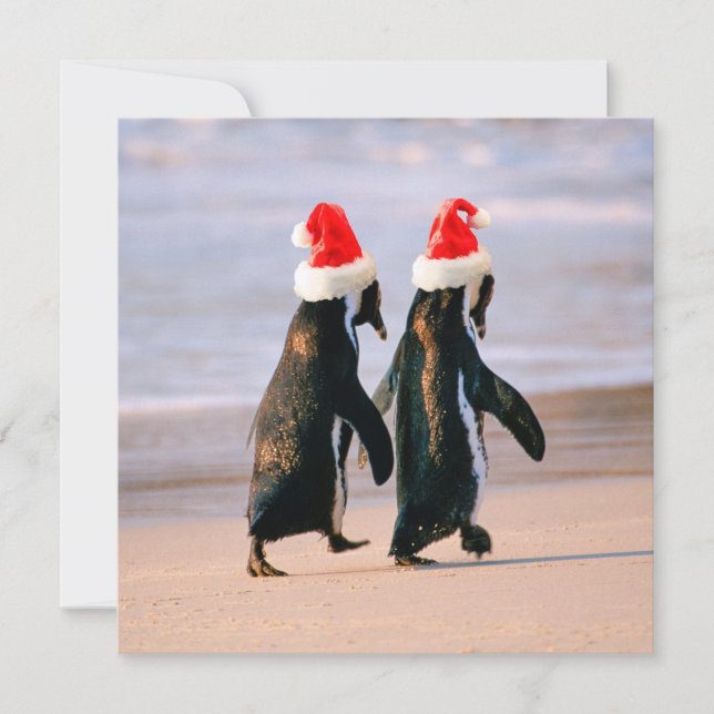Tarjeta Festiva Pingüinos con gorros de Santa en la playa (Anverso)