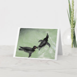 Tarjeta Festiva Pingüinos de Humboldt