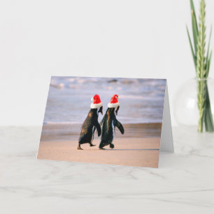 Tarjeta Festiva Pingüinos en Santa Hats en la playa