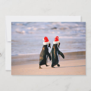 Tarjeta Festiva Pingüinos en Santa Hats en la playa