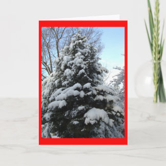Tarjeta Festiva Pino de la nieve