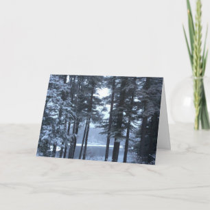 Tarjeta Festiva Pinos blancos en luz azul ---