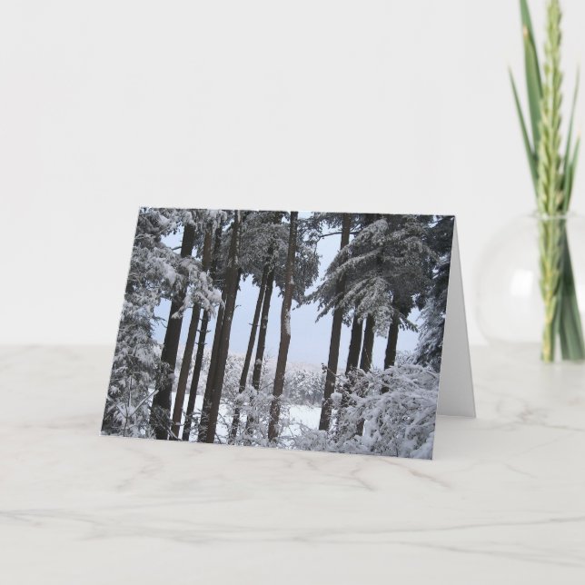 Tarjeta Festiva Pinos Nevado en luz azul (Anverso)