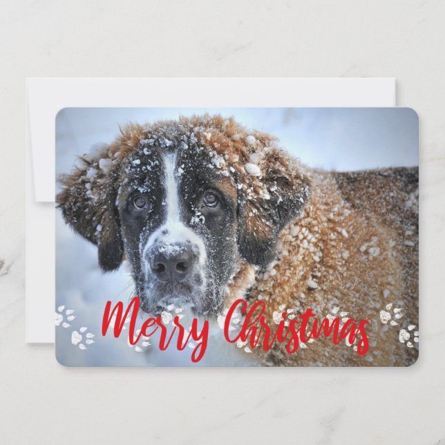 Tarjeta Festiva Pinturas, 2 fotos, Feliz Navidad, Mascota (Anverso)