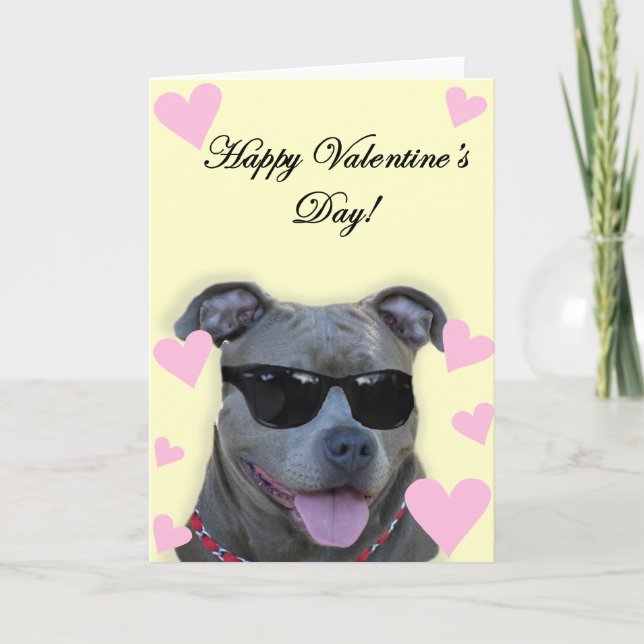 Tarjeta Festiva Pitbull azul del el día de San Valentín feliz con (Anverso)