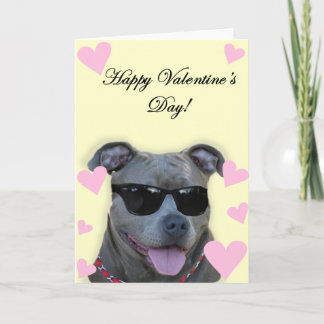 Tarjeta Festiva Pitbull azul del el día de San Valentín feliz con