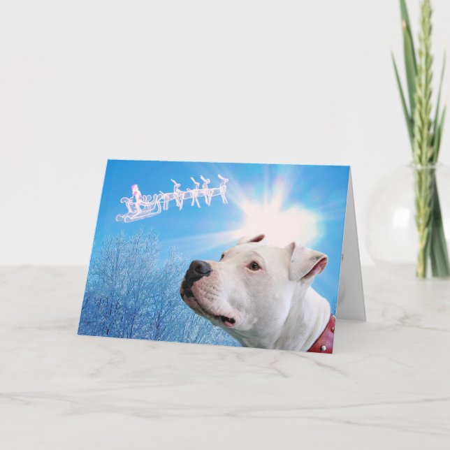 Tarjeta Festiva Pitbull White Dog Navidades Wish (Anverso)