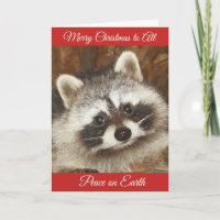Pixie Raccoon Christmas Greetings Holiday Card