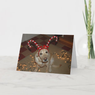 Tarjeta Festiva ¡Placer del navidad!