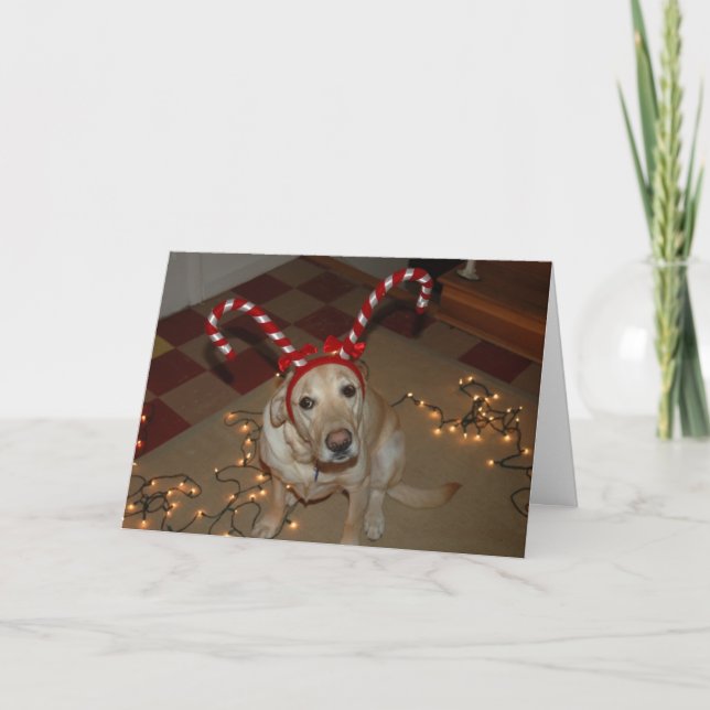 Tarjeta Festiva ¡Placer del navidad! (Anverso)