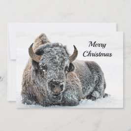 Tarjeta Festiva Plano de Navidades de foto de nieve de búfalo salv