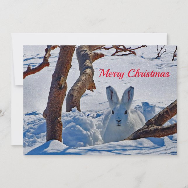 Tarjeta Festiva Plano de Navidades de fotografía con nieve en cone (Anverso)