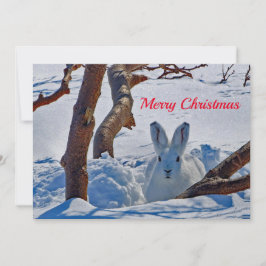 Tarjeta Festiva Plano de Navidades de fotografía con nieve en cone