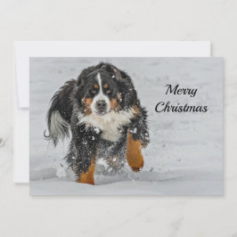 Tarjeta Festiva Plano de Navidades de fotografía de niebla de perr