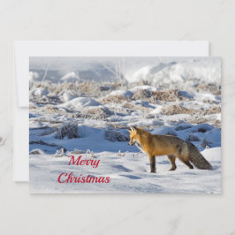 Tarjeta Festiva Plano de Navidades de fotos de la nieve de Fox bon