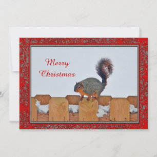 Tarjeta Festiva Plano de Navidades fotográficos de la nieve de la