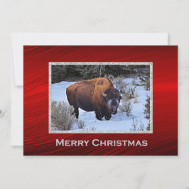 Tarjeta Festiva Plano de Navidades fotográficos de nieve de búfalo