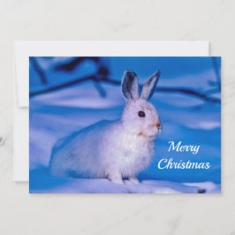 Tarjeta Festiva Plano de Navidades fotográficos de nieve de conejo