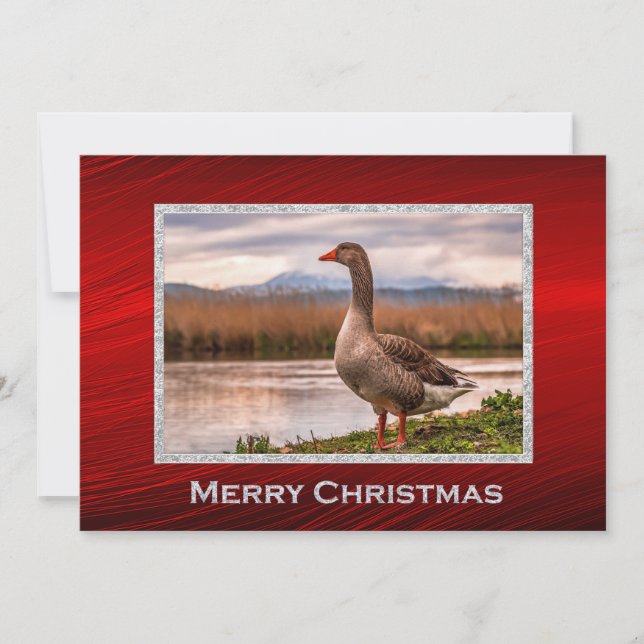 Tarjeta Festiva Plano de Navidades fotográficos de paisajes gansos (Anverso)