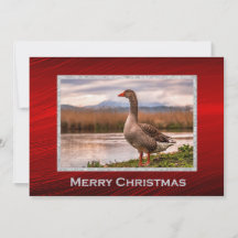 Plano de Navidades fotográficos de paisajes gansos