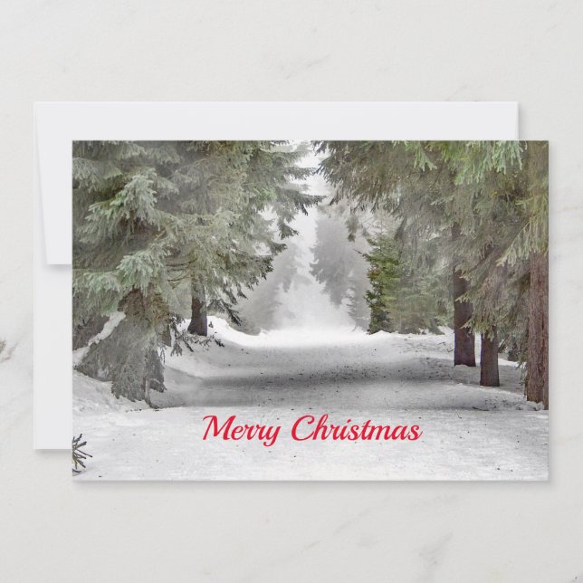 Tarjeta Festiva Plano de Navidades fotográficos de pinos de nieve  (Anverso)