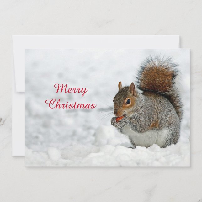 Tarjeta Festiva Plano de Navidades fotográficos Squirrel Red Berry (Anverso)