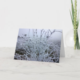 Tarjeta Festiva Plantas Heladas Paisaje Invernal
