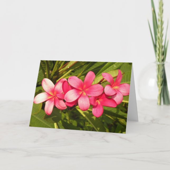 Tarjeta Festiva Plumeria (Anverso)