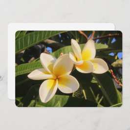 Tarjeta Festiva Plumeria