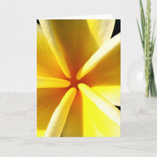 Tarjeta Festiva Plumerias