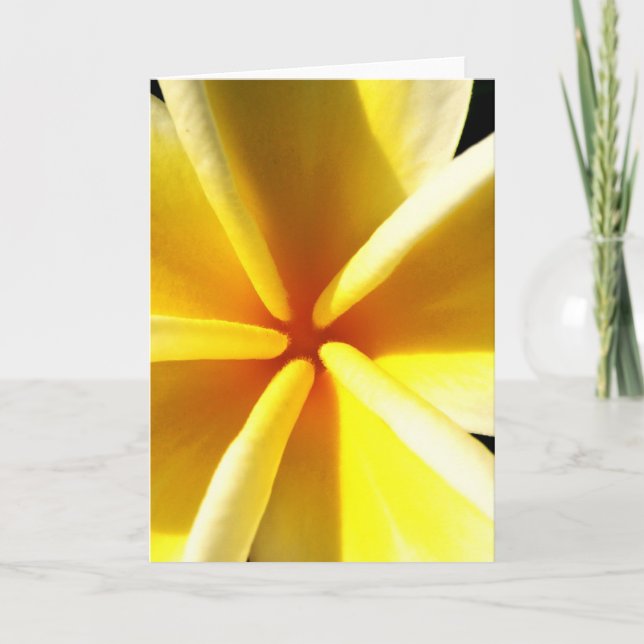 Tarjeta Festiva Plumerias (Anverso)
