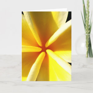 Tarjeta Festiva Plumerias