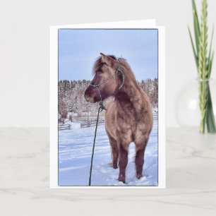 Tarjeta Festiva Poder de caballo islandés