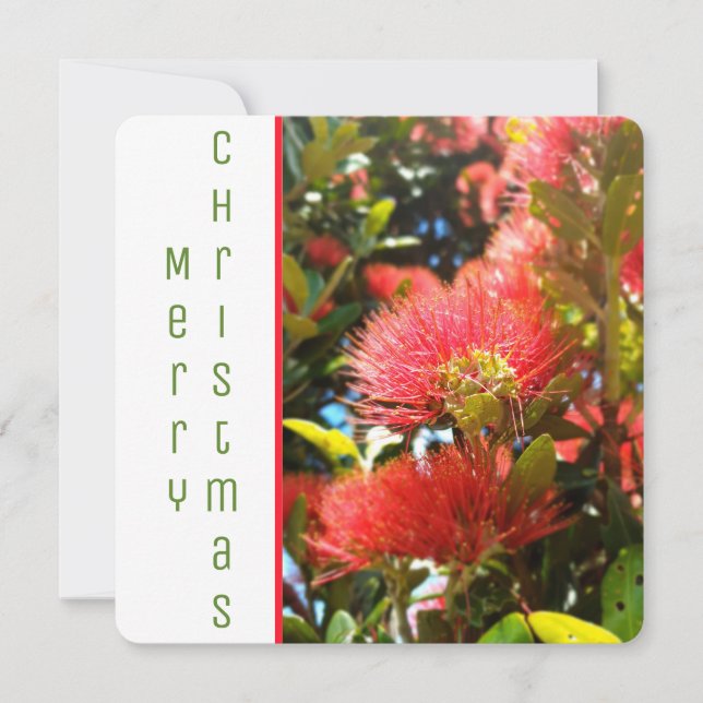TARJETA FESTIVA POHUTUKAWA FLOWER NZ FELIZ HOLIDAY COMPANY LOGO (Anverso)
