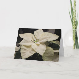 Tarjeta Festiva Poinsettia