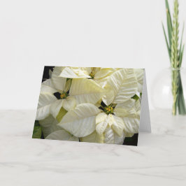 Tarjeta Festiva Poinsettia blanca