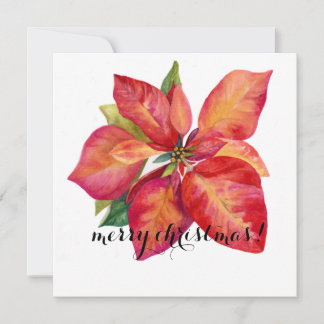 Tarjeta Festiva Poinsettia Christmas Card