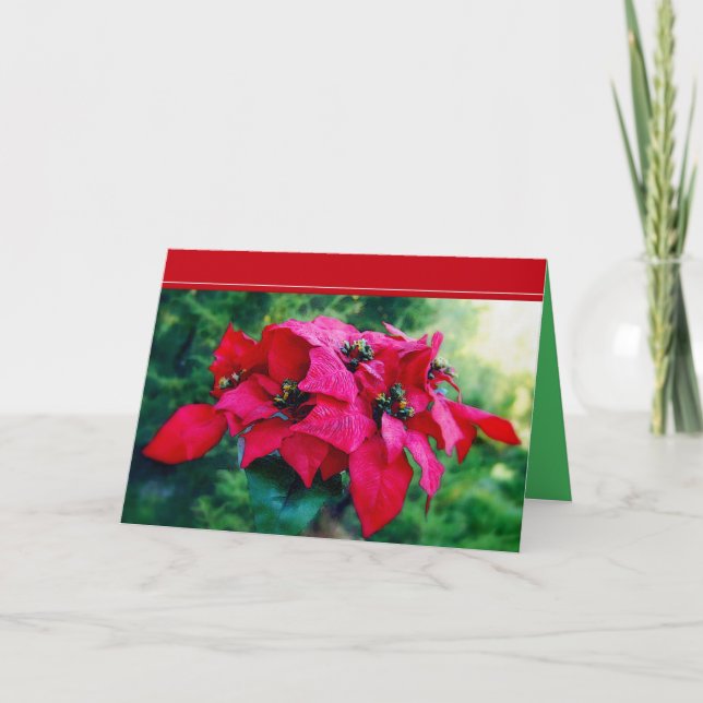 Tarjeta Festiva Poinsettia Merry Christmas Card (Anverso)