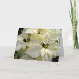 Tarjeta Festiva Poinsettias blancas