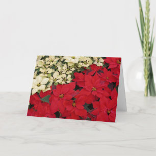 Tarjeta Festiva Poinsettias blancas y rojas con flores