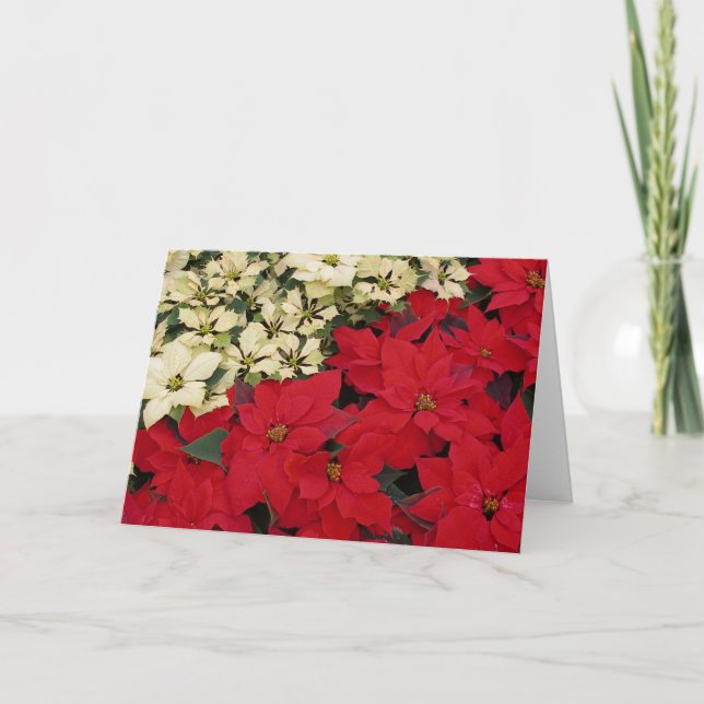 Tarjeta Festiva Poinsettias blancas y rojas con flores (Anverso)
