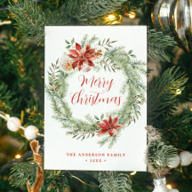 Poinsettias elegantes y vegetación sin foto