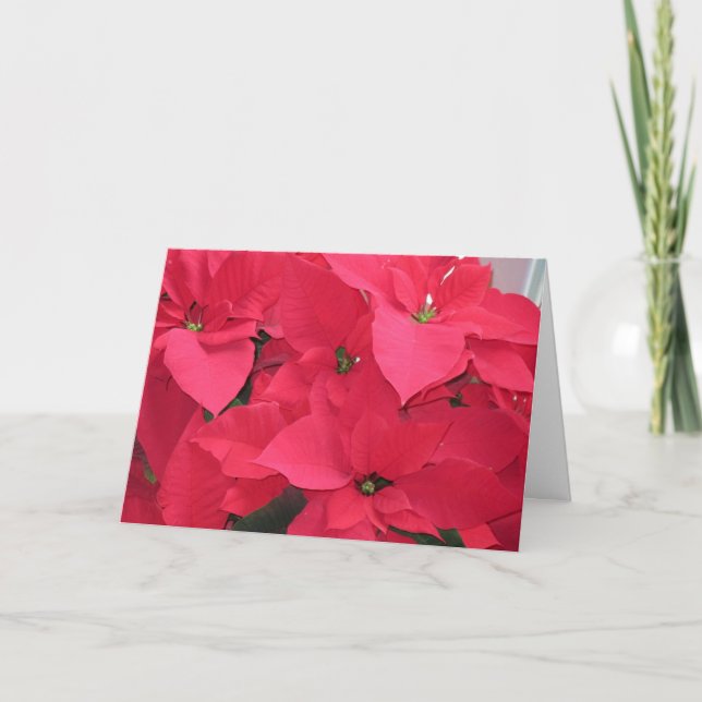 Tarjeta Festiva Poinsettias rojas (Anverso)