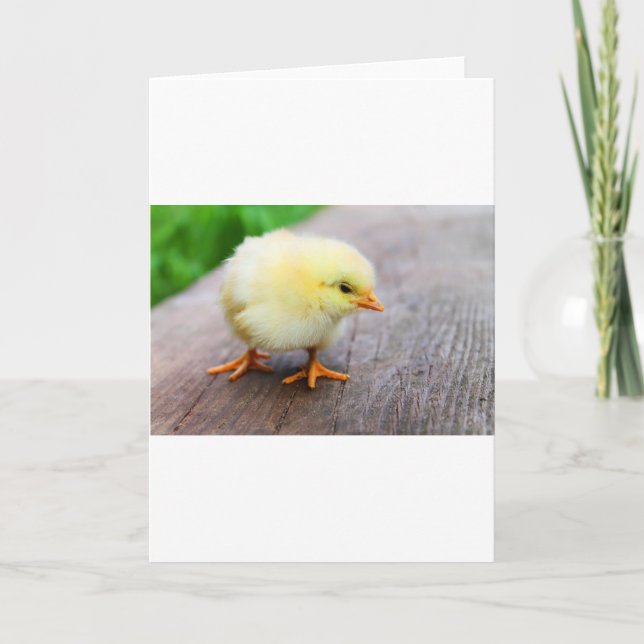 Tarjeta Festiva Pollito de Pascua (Anverso)