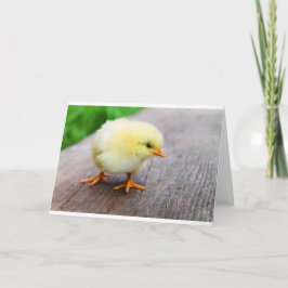 Tarjeta Festiva Pollito de Pascua