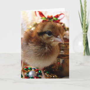Tarjeta Festiva Pollito Navideño Festivo