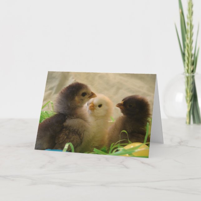 Tarjeta Festiva Pollitos de Pascua (Anverso)